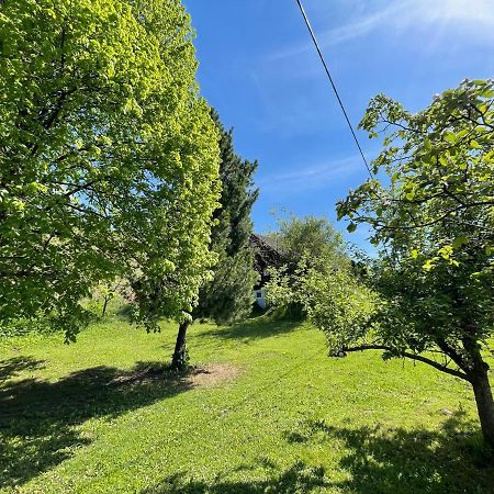 Vila Ferienhuette Bosic Baierdorf Exteriér fotografie
