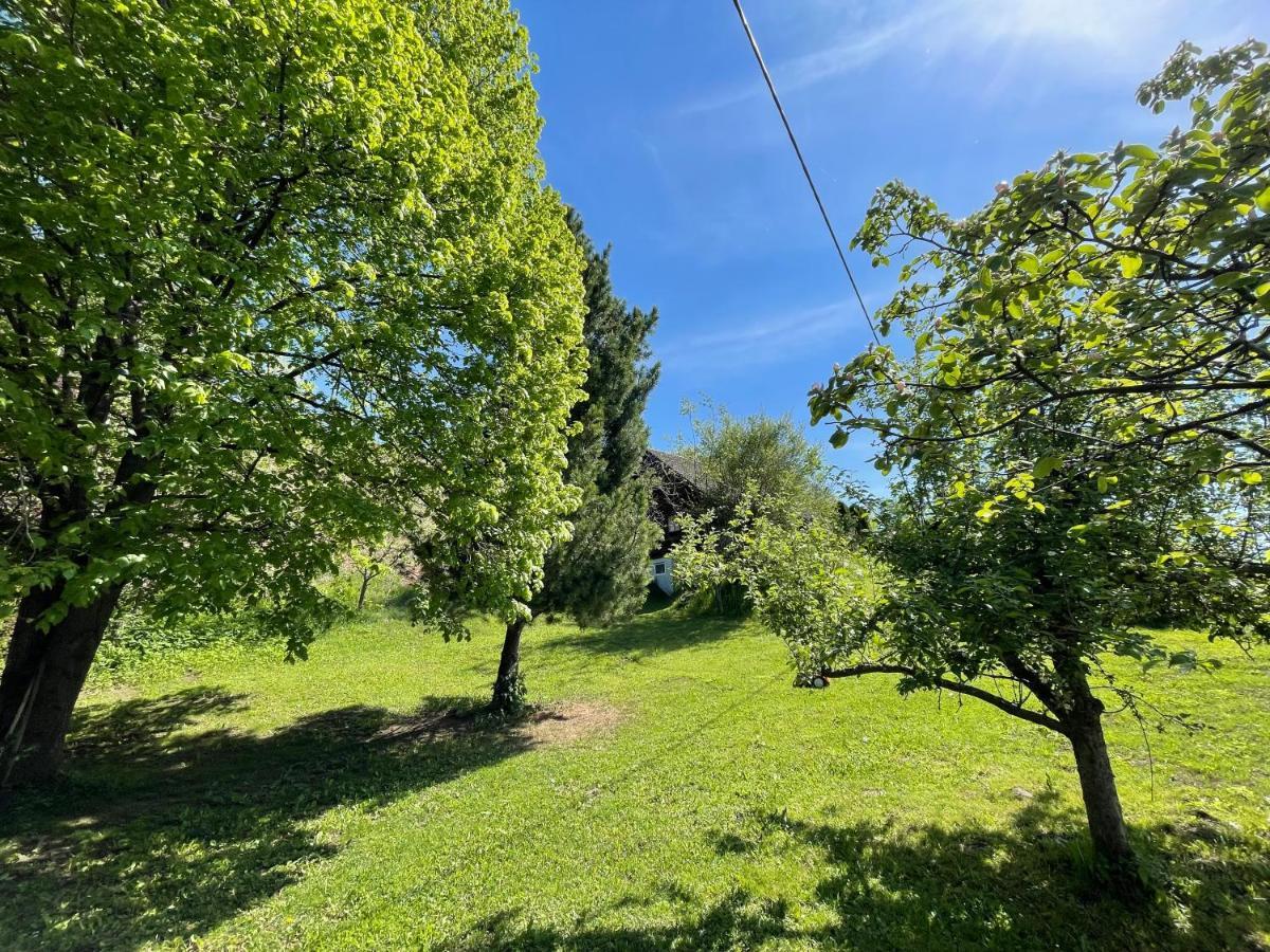 Vila Ferienhuette Bosic Baierdorf Exteriér fotografie