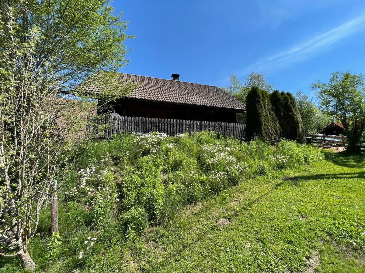 Vila Ferienhuette Bosic Baierdorf Exteriér fotografie